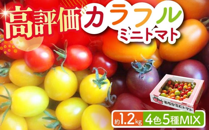 
            【4色5種MIX】カラフルミニトマト 約1.2kg トマト とまと tomato りんたろうとまと 新鮮 サラダ 野菜 やさい 九州 小値賀町 りんたろうふぁ～む [DAE001]  1万円 以上 15000円
          
