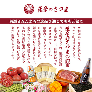 s261 特産品飴セット4種 合計560g(いも飴130g・しょうが飴130g・サクサク黒糖飴150g・あんこ飴150g)「日本の101村展 おいしさ賞」受賞のあめ含 さつま町 特産品 鹿児島 飴 お