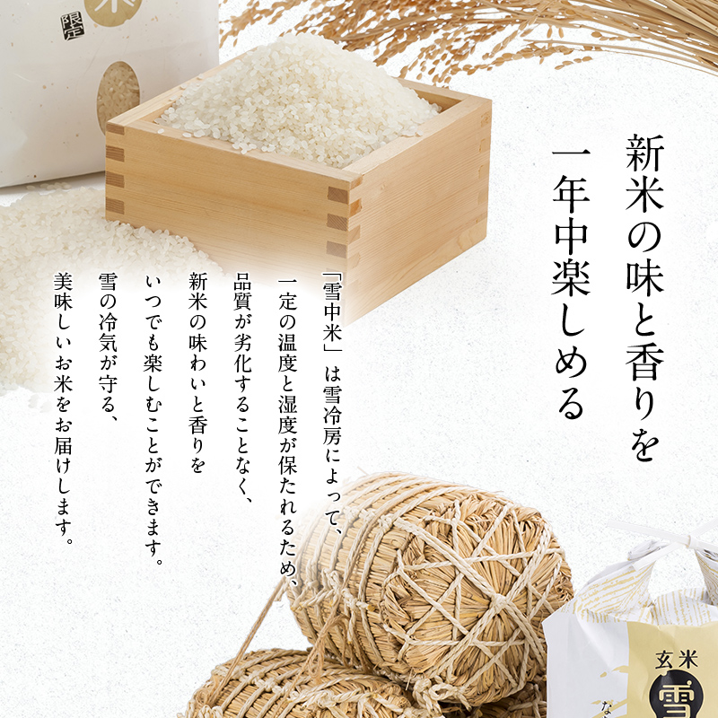 令和7年産 特Aランク米 ななつぼし 精米 10kg（5kg×2袋）【5月発送】 雪冷気 籾貯蔵 雪中米 北海道 nr-1441