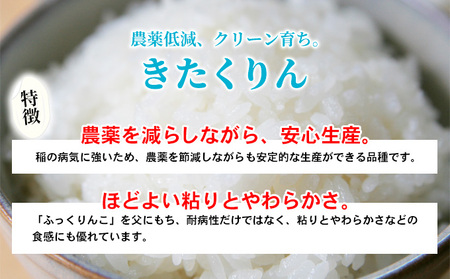 米食べ比べセット ゆめぴりか ななつぼし きたくりん 米【計6kg各2kg】