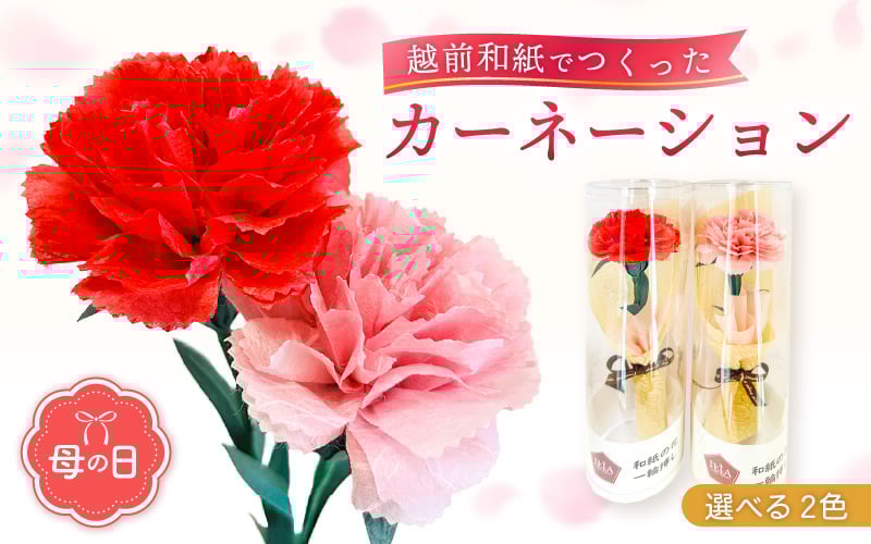 
            【先行予約】【母の日】カーネーション 花 ギフト 越前和紙 花一輪挿し 【2025年5月発送】「永遠の感謝」 メッセージ （赤色 / ピンク色 どちらかお選びください）【 フラワーギフト 和紙花 手軽 コンパクト 枯れない  メッセージカード １万円以下】 [e51-a004]
          