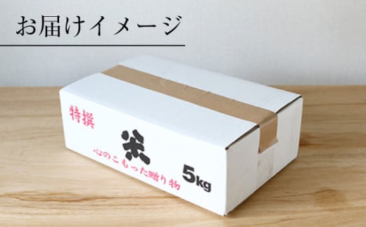 【 令和5年産 新米 ☆先行予約】【木村式自然栽培】 白米 くまみのり 約 5kg ＜ハマソウファーム＞ [CBR012]