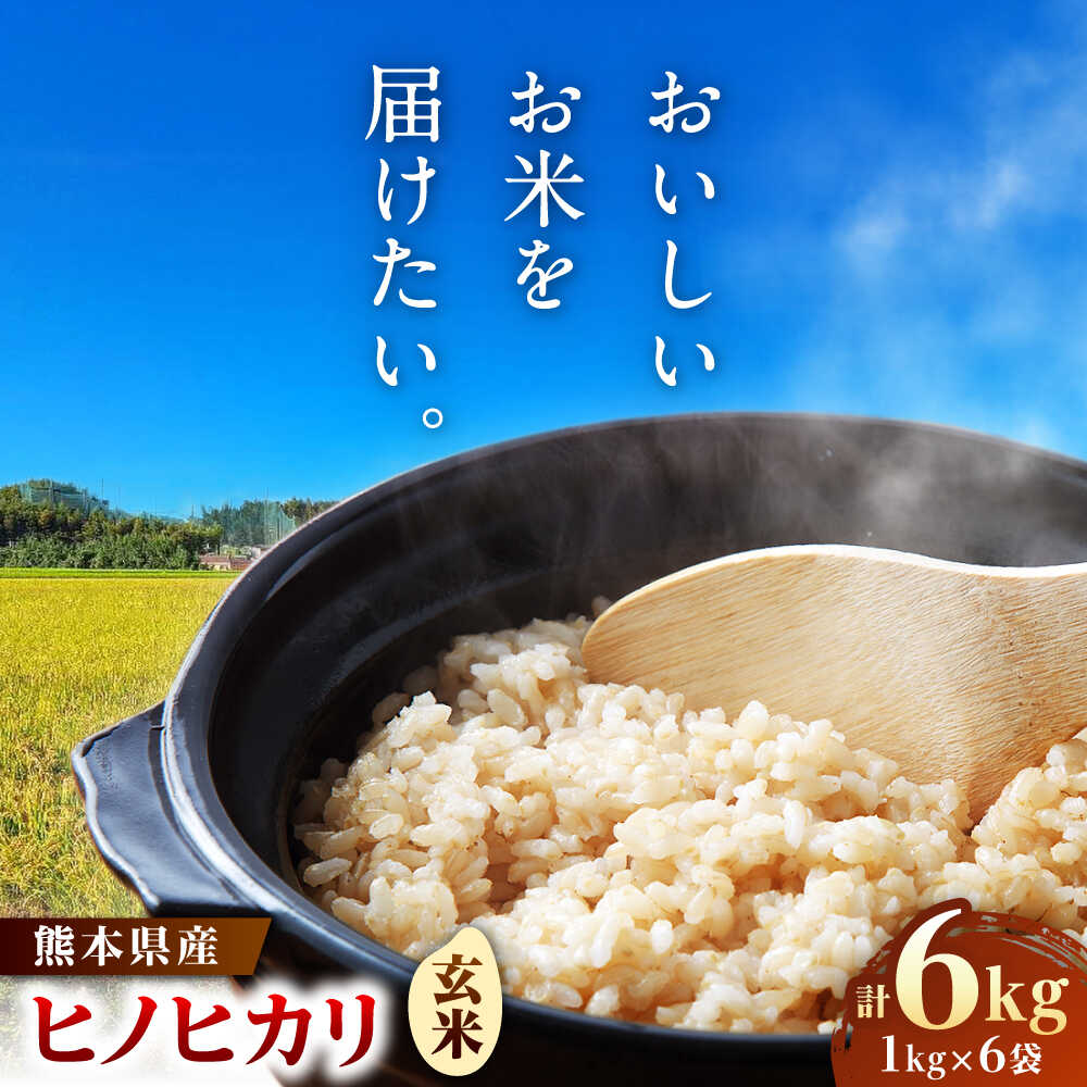 【ふるさと納税】ヒノヒカリ　玄米 6kg（1kg×6袋） 【株式会社　岩下農園】[ZFS004]