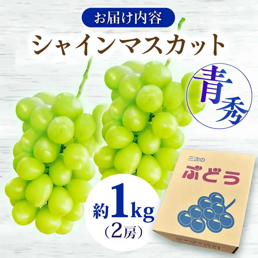 シャインマスカット 1kg [APCM002] シャインマスカット