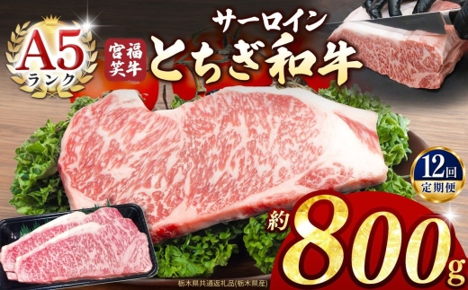 【定期便12回】宮福笑牛(とちぎ和牛) A5 サーロインステーキ 約200gx4枚  | 牛肉 和牛 ステーキ  定期便 サーロイン ステーキ ステーキ用 旨味 美味しい 肉 お肉  栃木県共通返礼品（栃木県産） 栃木県 真岡市