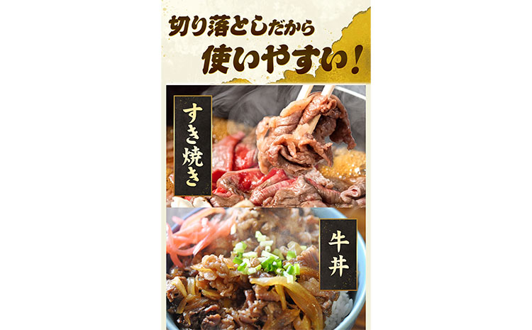 あか牛 切り落とし 1kg 五右衛門フーズ《60日以内に出荷予定(土日祝除く)》 熊本県 大津町 牛肉 肉 国産 熊本県産 ブランド牛 絶品 贅沢 高級 あか牛---so_fgoeakukr_60d_