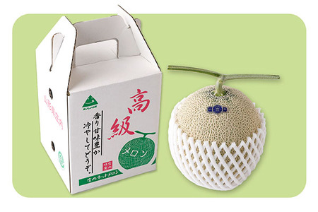 【8月より順次発送】アールスメロン 大玉1玉（入金期限：2026.7.20）