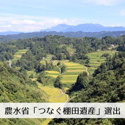 ふるさと納税 十日町市 【令和7年産・先行受付】新潟県魚沼産コシヒカリ「山清水米」精米10kg |  | 03
