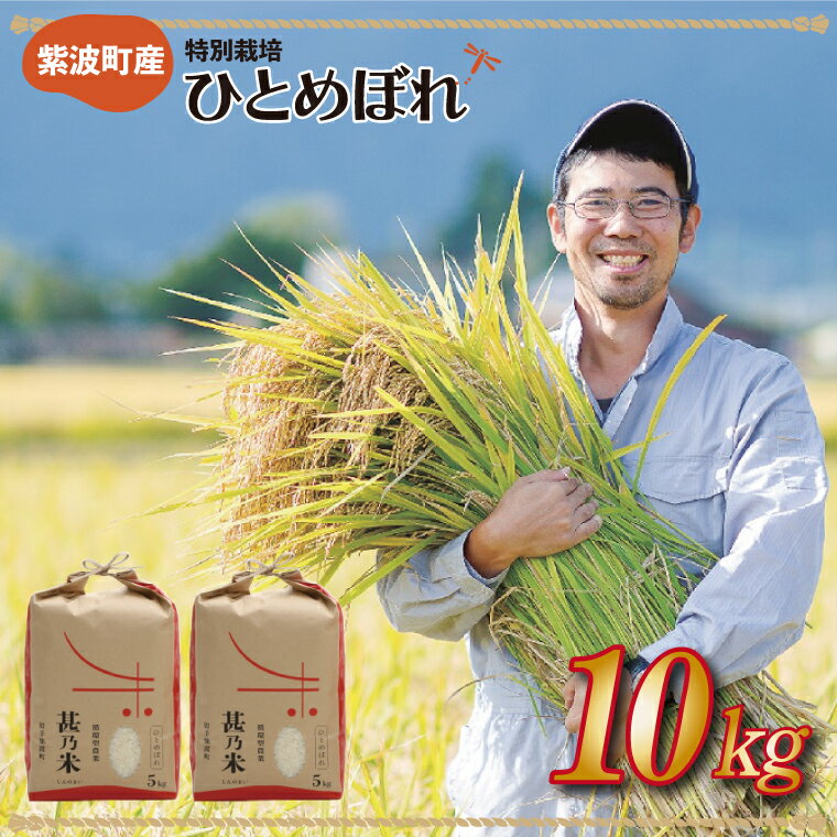 【ふるさと納税】令和7年産 ひとめぼれ 白米 10kg【甚乃米 特別栽培米】＼選べる 配送月／ さめても美味しい おこめ 白米 岩手県 紫波町産 (AC023)