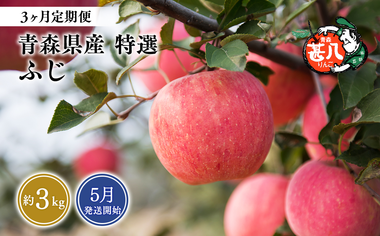 【2027年5月発送開始】青森県産 ふじ りんご 特選 約3kg 3ヶ月定期便 青森りんご 林檎 フルーツ 平川市