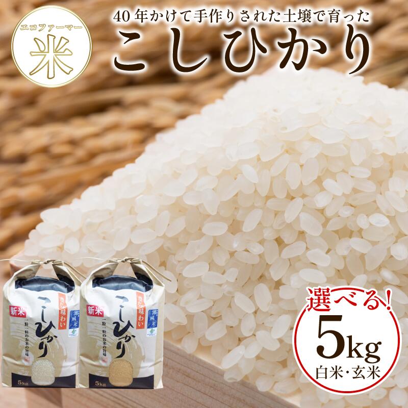 【ふるさと納税】 こしひかり 5kg 選べる 白米 玄米 令和7年産 潮風米 ご飯 おにぎり ごはん お弁当 ギフト 贈答 プレゼント お取り寄せ グルメ 保存 防災 備蓄 送料無料 徳島 小松島