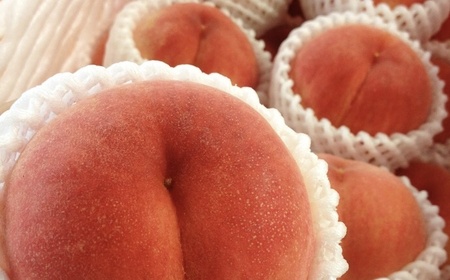 白桃　２.５ｋｇ　特秀品　0047-2604