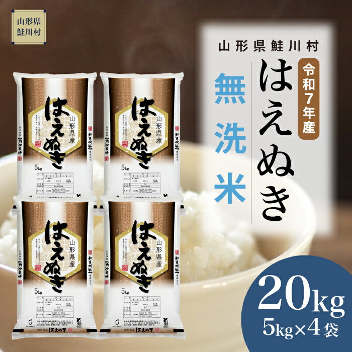 【ふるさと納税】＜令和7年産米＞ 鮭川村 はえぬき 【無洗米】20kg （5kg×4袋）＜配送時期選べます＞