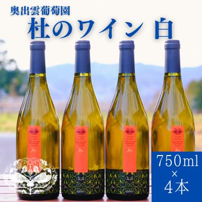 ふるさと納税 雲南市 杜のワイン白 750ml×4本 辛口ワイン 白ワイン4本セット