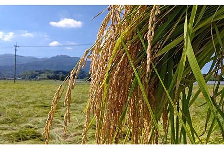 【糸島飲み比べ】糸島純米70 720ml・糸島芋焼酎900ml・いとしま甘夏の酒720ml《糸島》【蔵屋】 [AUA010] お酒 飲み比べ 芋焼酎 純米酒 濁り酒 ギフト 酒 さけ のみくらべ