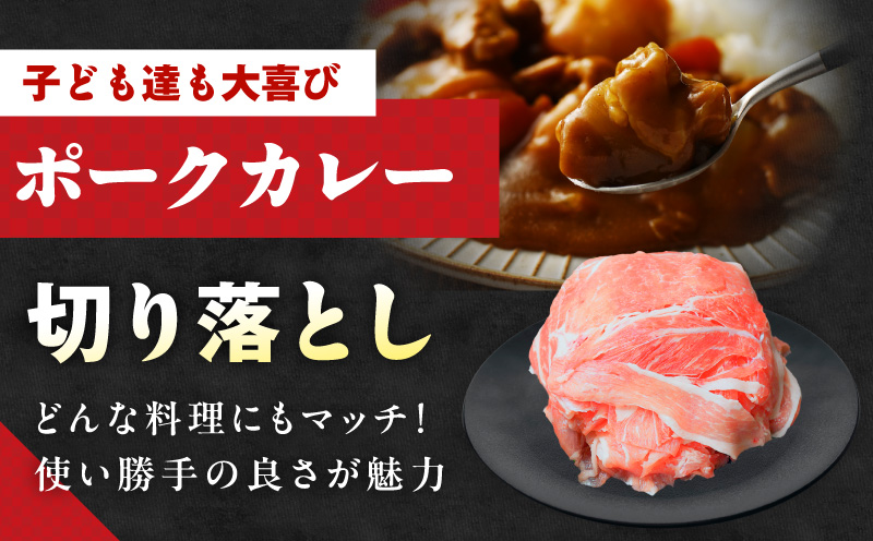 【定期便】国産 豚肉 4種 総量 1.2kg×3回【氷温熟成×極味付け 300g×4P 小分け ぶたにく 普段使い 野菜炒め】 099Z351