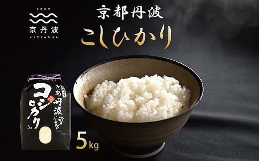 
            京丹波こしひかり 5kg 令和6年産 新米 京都 精米 コシヒカリ ※北海道・沖縄・その他離島は配送不可 [010MB001]
          