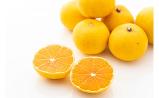 【先行予約】Saito Orange Farmの早生（わせ）みかん10kg ※離島への配送不可（2025年11月下旬頃より順次発送） 【 ふるさと納税 人気 おすすめ ランキング みかん ミカン 蜜柑 柑橘 早生みかん 早生ミカン フルーツ 果物 産地直送 Saito Orange Farm 愛媛県産 愛媛県 伊方町 送料無料 】 IKTAQ021