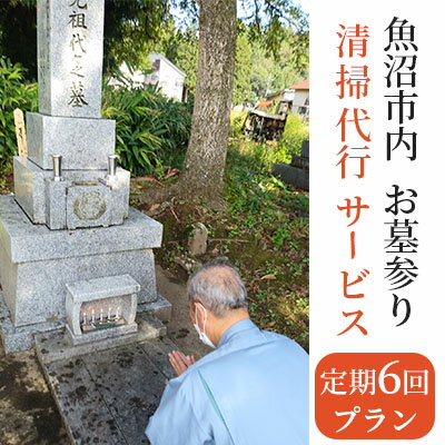 【ふるさと納税】お墓参り・清掃代行サービス年間6回プラン（実施期間：5月～10月） チケット