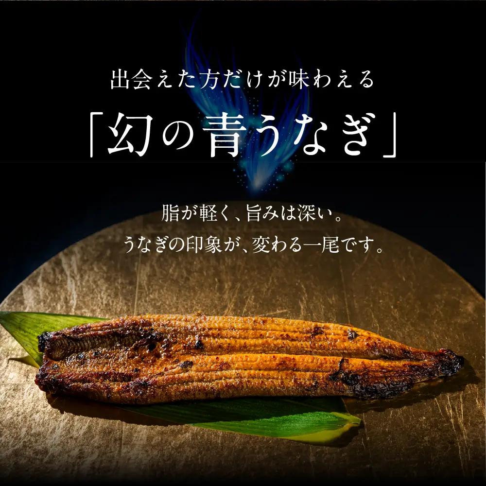 特上 幻の青うなぎ 2尾 うなぎ 丑の日 田原市