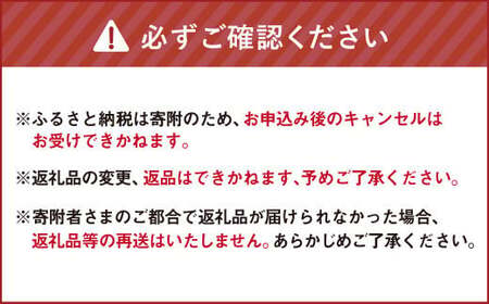 Fin β （B） 椅子 イス インテリア オブジェ 置物
