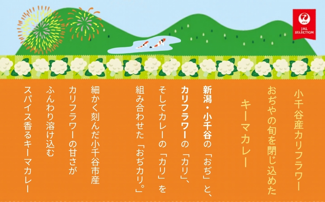 【JALふるさとプロジェクト】おぢカリ。 キーマカレー 10個セット レトルト カリフラワー まるごと使用 | 備蓄 レトルトパック レトルトカレー お取り寄せ グルメ ギフト 新潟県 小千谷市 たか