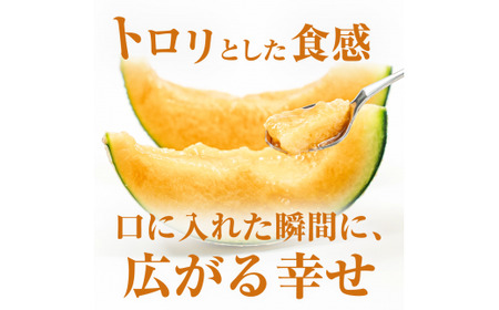 クインシーメロン（1玉入り1箱）1.5kg前後