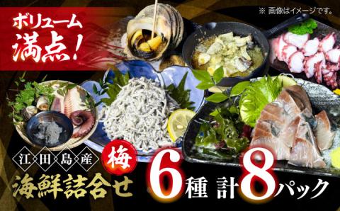 新鮮なお魚盛りだくさん！海鮮詰合せ「梅」 魚介類 海産物 海鮮 刺身 広島 ＜七宝丸＞江田島市 [XBY001] お肉・魚介