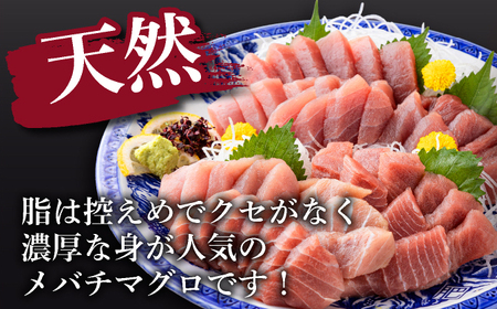 天然メバチマグロ 【 中トロ 】400ｇ（柵） メバチマグロ めばちまぐろ めばち メバチ まぐろ マグロ 鮪 サク 柵 中トロ 天然 天然まぐろ 天然マグロ 刺身 お刺身 食べ比べ 海鮮丼 丼 魚 