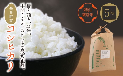 ≪令和7年産≫ 【特別栽培米】垂井町産コシヒカリ5kg