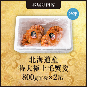 特大極上毛蟹姿　800g前後×2尾セット