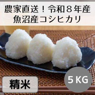 ふるさと納税 十日町市 【先行予約・令和8年産】新潟県魚沼産コシヒカリ「山清水米」精米5kg