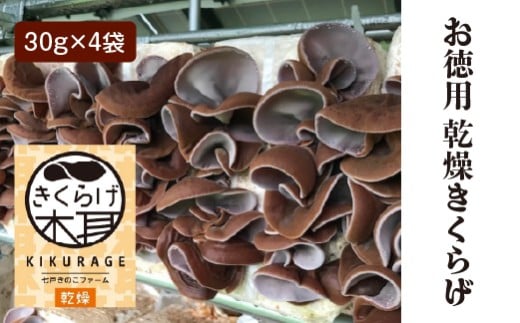 乾燥きくらげ（30g）×4袋　【02402-0427】