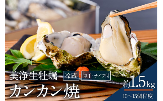 【先行受付】【2026年1月中旬より発送】中野水産 美浄生牡蠣 冷蔵 カンカン焼 軍手、牡蠣ナイフ付 約1.5kg (10～15個程度) ku007-005-25