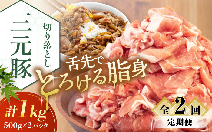 
                  【全2回定期便】平田牧場 切り落とし 1kg (500g×2P) 《喜茂別町》【平田牧場】 肉 豚肉 生姜焼き 小分け 冷凍 冷凍配送 定期便 定期 北海道 平田牧場 三元豚 [AJAP030] 22000 22000円
                