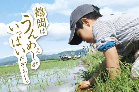 【数量限定】【令和7年産新米キャンペーン】特別栽培米つや姫 5kg(5kg×1袋) 　うまい庄内