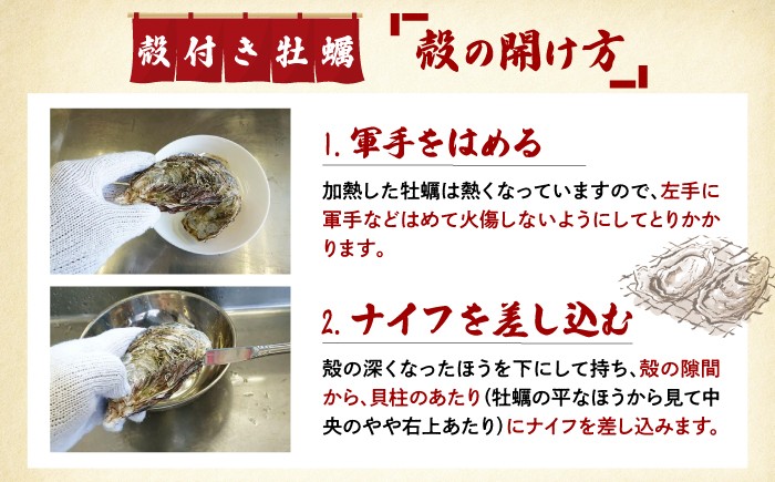 牡蠣 殻付き 殻 かき カキ 冷凍 広島牡蠣 オイスター kaki 広島県産