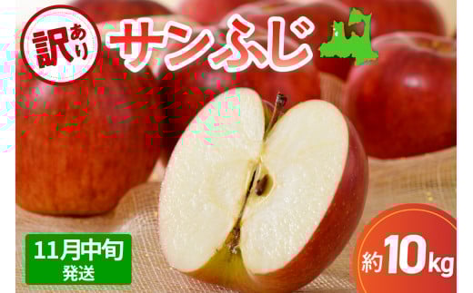 【先行受付】【2025年11月中旬発送】 サンふじ青森 訳あり りんご 10kg 程度 五所川原 不揃い