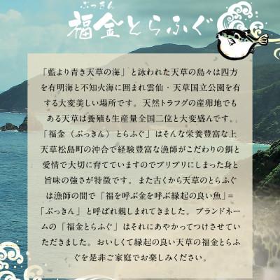 ふるさと納税 上天草市 【熊本県上天草産】福金とらふぐ600g(皮付き) |  | 01