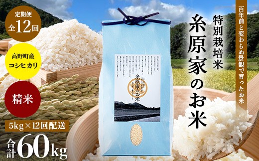 
                  【定期便 全12回】特別栽培米「糸原家のお米」高野町産 コシヒカリ 5キロ| 5kg×12回 合計60kg 12ヶ月 12ヵ月 12か月 精米 白米 お米
                