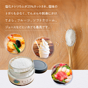  海底湧水塩うっしお 100g　YE01