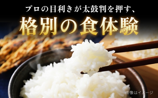 【6回定期便】【お米マイスター監修】 令和8年産 北海道産 ななつぼし 10kg (5kg×2) | 米 お米 白米 精米 ななつぼし | 株式会社ZAWA.com [BOAZ010]