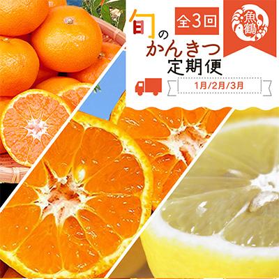 ふるさと納税 日高川町 【発送月固定定期便】紀州和歌山産旬のフルーツセット(みかん・不知火・レモン)全3回