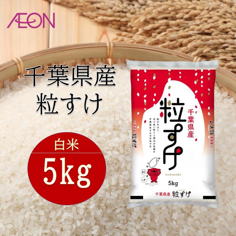 【ふるさと納税】令和7年産　千葉県産 粒すけ5kg　米 お米 こめ コメ 白米 精米 ブランド米 ご飯 ごはん おにぎり お弁当　お届け：2025年10月15日～2026年7月31日まで