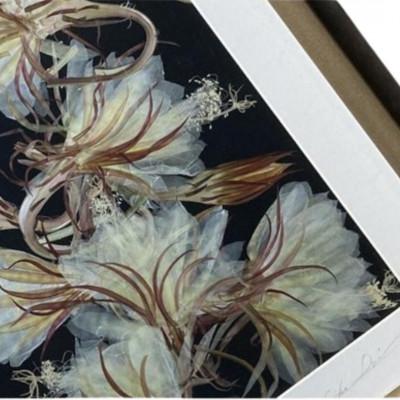ふるさと納税 千早赤阪村 1点もの　押し花アート 『乱舞』額付き |  | 01