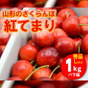 【ふるさと納税】山形のさくらんぼ 紅てまり 1kg Lサイズ以上 バラ詰 【令和7年産先行予約】FS24-560 くだもの 果物 フルーツ 山形 山形県 山形市 お取り寄せ 2025年産