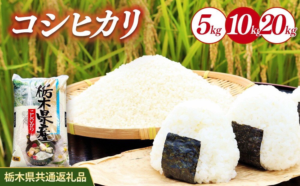 
                  【選べる内容量】米 コシヒカリ 5kg/10kg/20kg 栃木県産【栃木県共通返礼品】
                