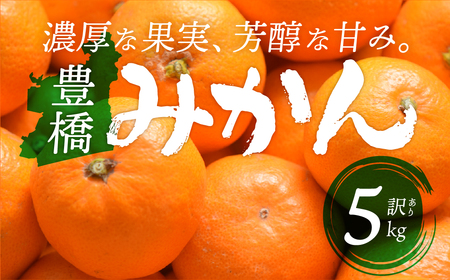 【みかん】 ご家庭用 5kg 訳あり 温州みかん