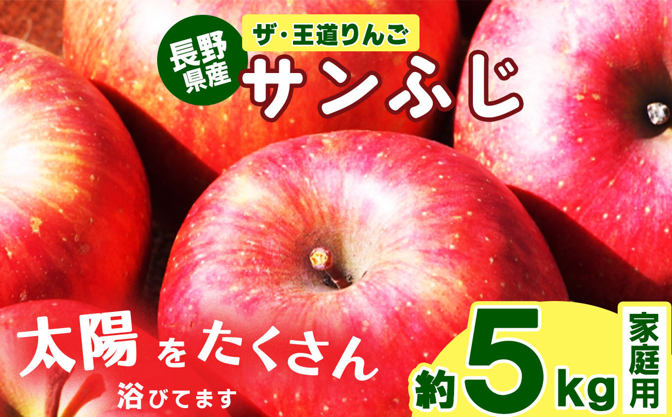 
            2025年 冬 先行予約 ザ・王道 りんご サンふじ 家庭用 約5kg 訳あり 銀杏ファーム平林 | 果物 フルーツ りんご リンゴ 林檎 信州りんご 信州産 長野県産りんご ふじ サンふじ 家庭用 訳あり 千曲市 長野県 先行予約
          