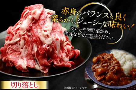 牛肉 宮崎牛 切り落とし 500g 4p 計 2kg [ローカルブランディング 宮崎県 日向市 452061410]